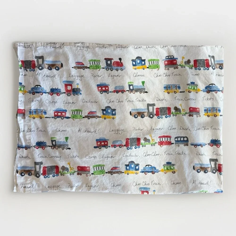 POTTERY BARN KIDS 1‎ Pillowcase Animals Train Multicolor AS IS~STAIN Tear
